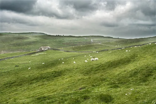 UK Charts: Nintendo Performs Admirably In Its Last Christmas Push