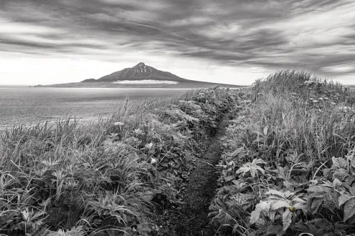 “I Skipped School To Play”