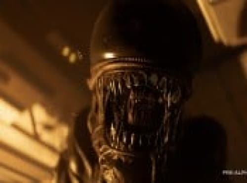 Alien: Isolation 2 Gets Official Reveal, Now Available To Wishlist On Xbox 1 Alien: Isolation 2 Gets Official Reveal, Now Available To Wishlist On Xbox